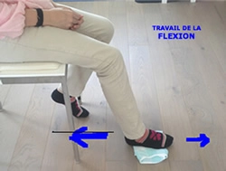 Travail de la flexion active